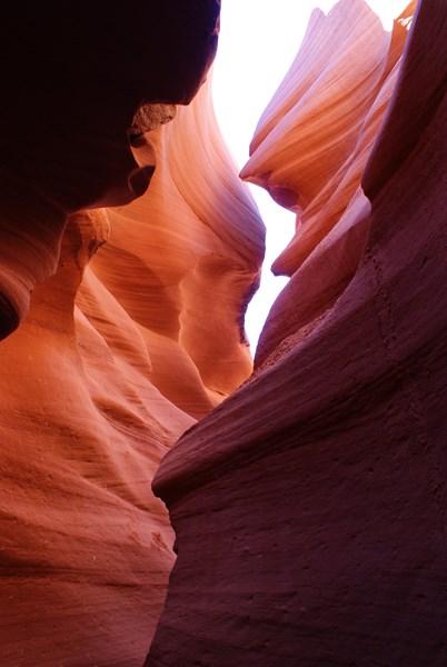 antelope lower 4
