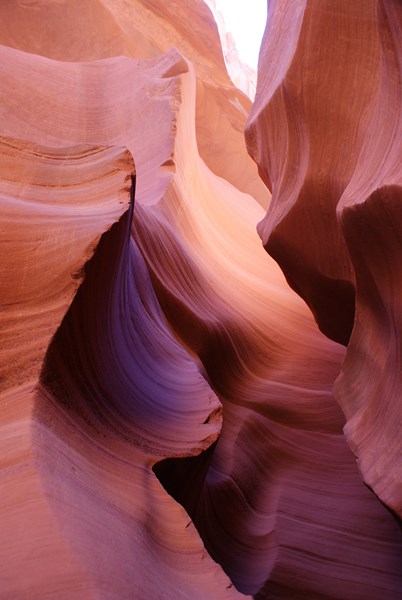 antelope lower 5