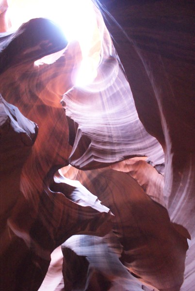 antelope 3