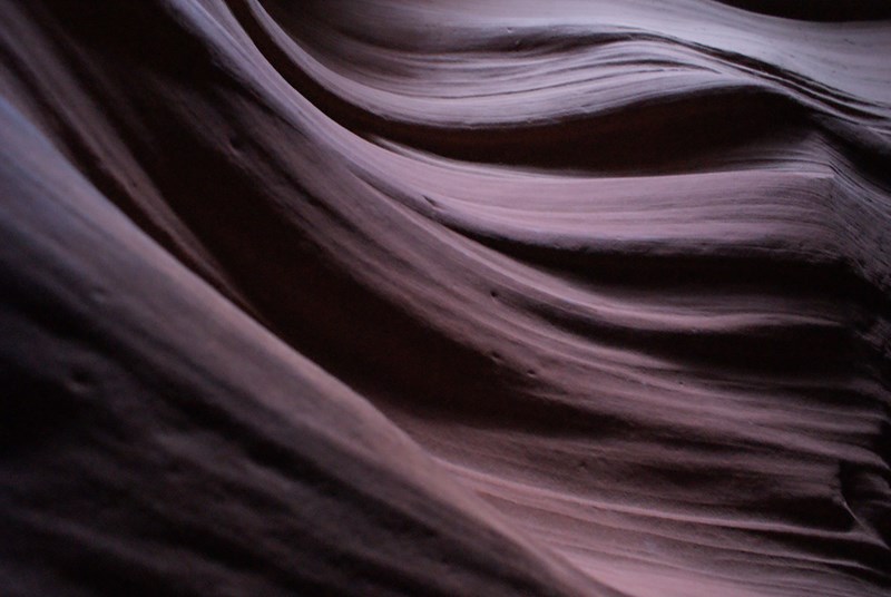 antelope 1