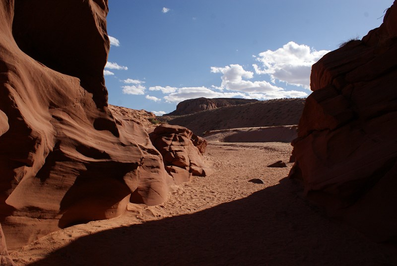 antelope 2